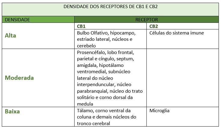 Sistema Endocanabinóide 2