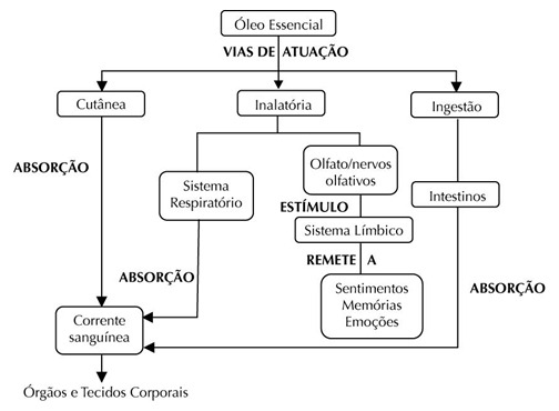 Abordagens da Aromaterapia  1